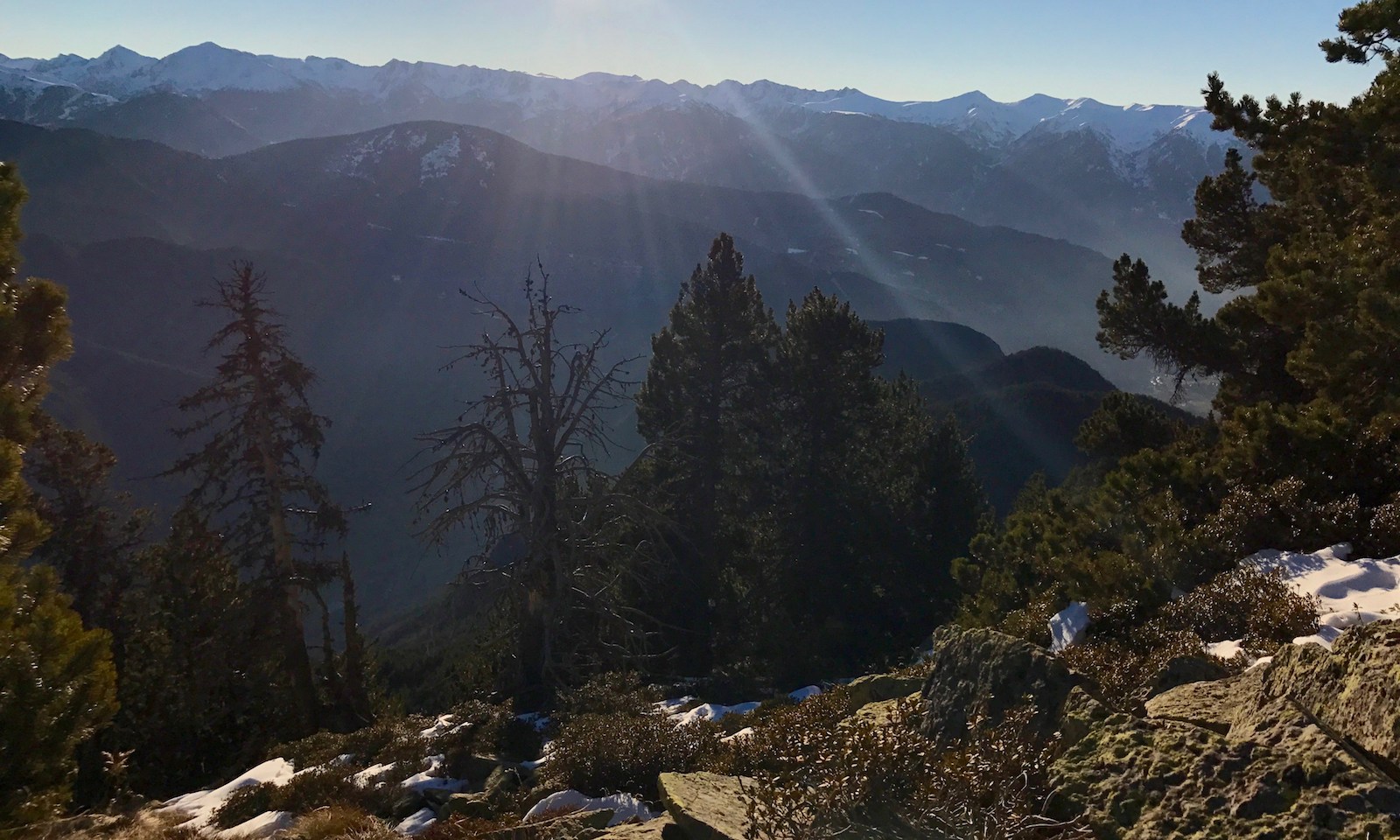 Early morning winter sunlight