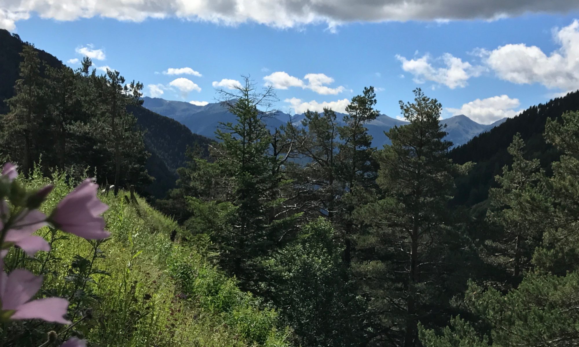 View of the valley